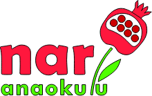 Nar Anaokulu